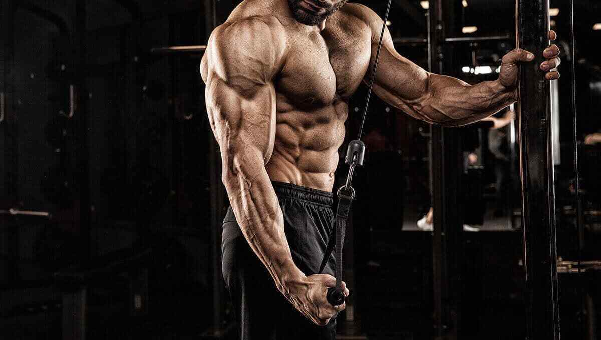 learn the effective methods to buy steroids online in usa